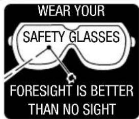 Genesis GLRS20B - Look for this symbol to point out important safety precautions. It means attention!!! Your safety is involved. - 2