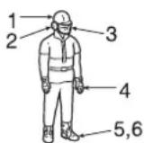 Shindaiwa 335S - REMARQUE IMPORTANT - 3