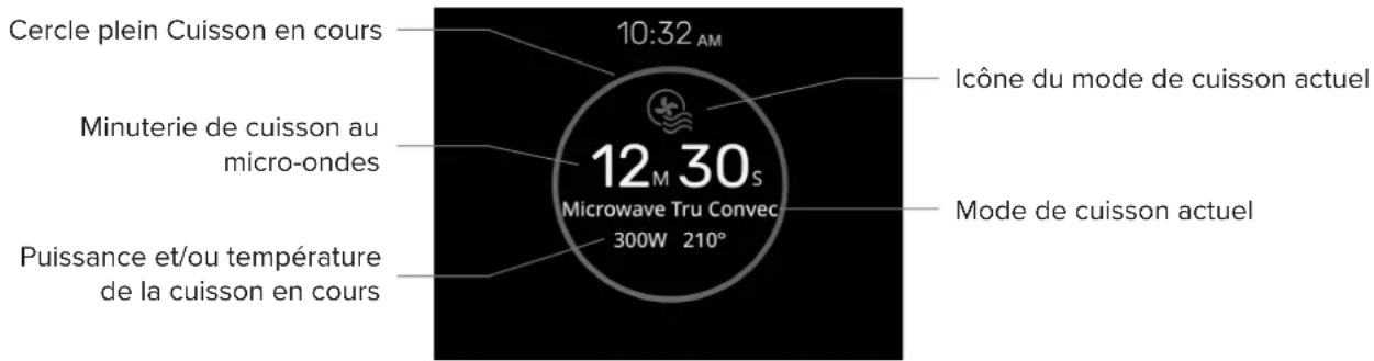 VIKING MVMSP6301BG - Micro-ondes et convection - 1