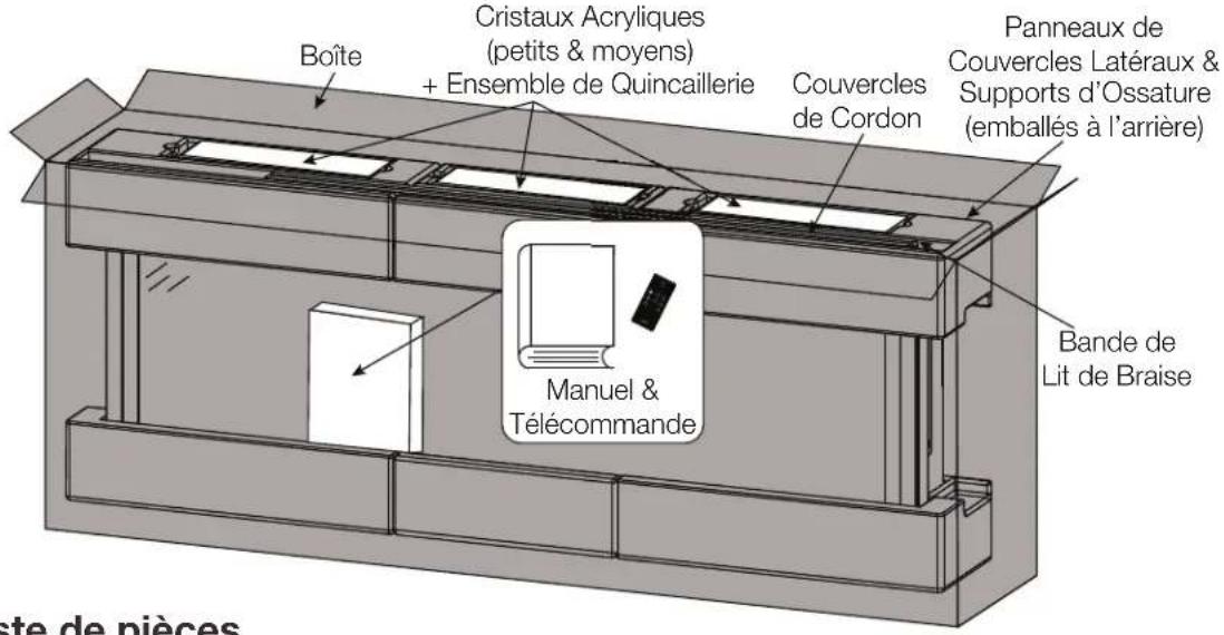 Napoleon Entice NEFL50CFH-1 - déballage et vérifi cation de l'appareil - 1