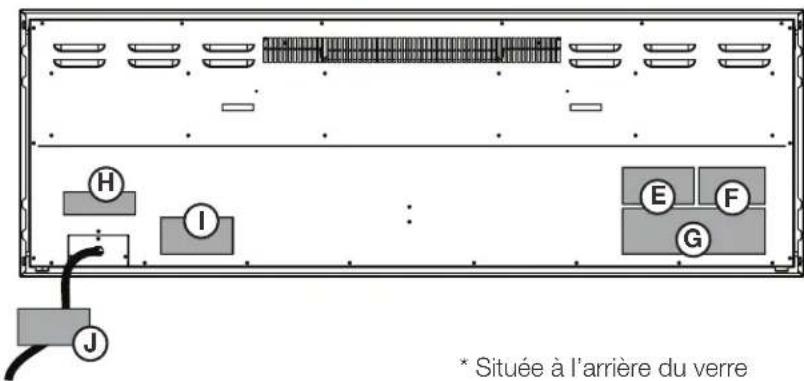 Napoleon Entice NEFL50CFH-1 - emplacement d'étiquette - 2