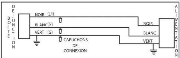 Napoleon Entice NEFL50CFH-1 - note: - 4