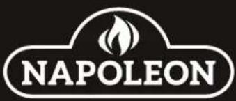 Napoleon Entice NEFL50CFH-1 - NAPOLEON CELEBRATING OVER 40 YEARS OF HOME COMFORT PRODUCTS - 5