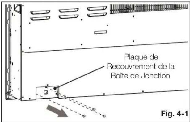 Napoleon Entice NEFL50CFH-1 - note: - 1