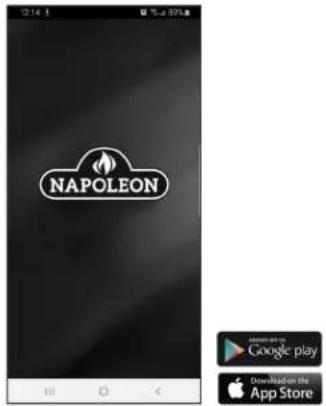 Napoleon Stylus Cara Elite NEFP32-5019W-IOT - COMMENÇONS - 1