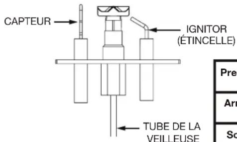 CAPTEUR IGNITOR (ÉTINCELLE) TUBE DE LA VEILLEUSE