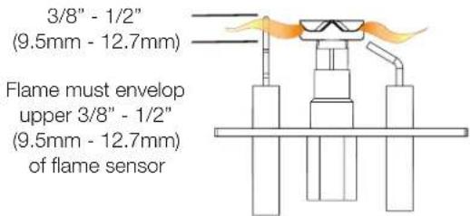 Napoleon Ascent BLX46 - flame characteristics - 1