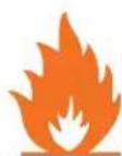 Napoleon Ascent BLX46 - FIRE RISK HAZARD / DELAYED IGNITION - 1