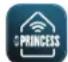 PRINCESS Smart Infrared Panel Heater 540 348054 - USAR O AQUECEDOR COM A APLICAÇÃO PRINCESS HOME - 1