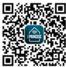 PRINCESS Smart Infrared Panel Heater 540 348054 - USING THE HEATER WITH PRINCESS HOME APP - 2