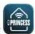 PRINCESS Smart Infrared Panel Heater 540 348054 - Displej - 1