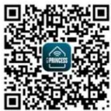 PRINCESS Smart Infrared Panel Heater 540 348054 - USING THE HEATER WITH PRINCESS HOME APP - 3