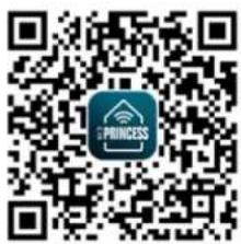 PRINCESS Smart Infrared Panel Heater 540 348054 - USAR O AQUECEDOR COM A APLICAÇÃO PRINCESS HOME - 2