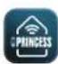 PRINCESS Smart Infrared Panel Heater 540 348054 - Display - 1