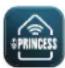 PRINCESS Smart Infrared Panel Heater 540 348054 - KORZYSTANIE Z GRZEJNIKA Z APLIKACJA PRINCESS HOME - 1