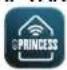 PRINCESS Smart Infrared Panel Heater 540 348054 - APPEN - 1