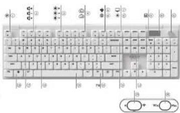 Cherry XTRFY MX 10.1 Wireless - CHERRY XTRFY MX 10.1 WIRELESS - 2