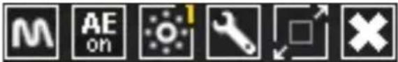 M AE on