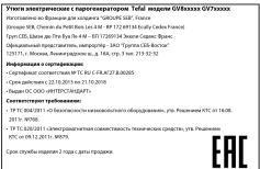 CALOR Pro Express GV8715 - 2