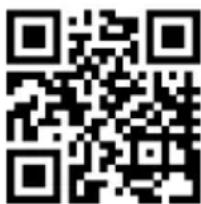 MEDION P10 XL - Service-informatie - 1