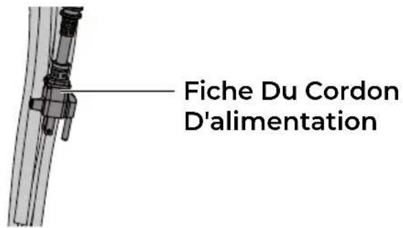 Fiche Du Cordon D'alimentation