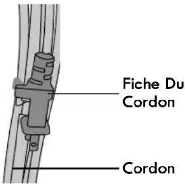 Fiche Du Cordon Cordon