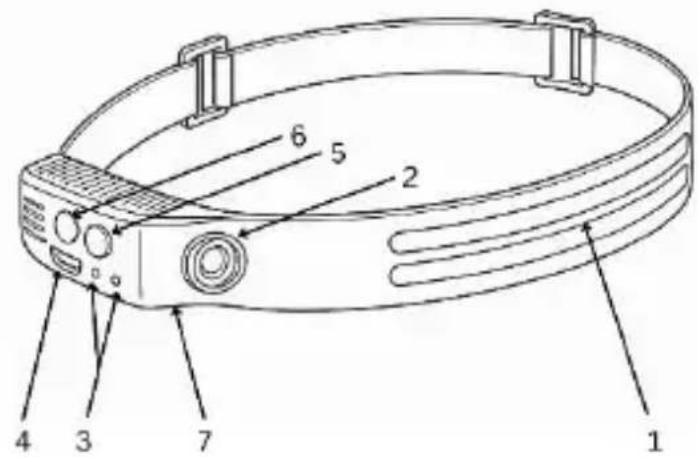 Testboy Head Light 1 - Structuur van het apparaat - 1
