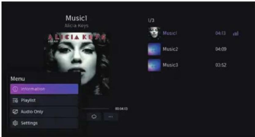 Music1 Alicia Keys I/3 Music1 04:13 Music2 04:09 Music3 03:52 Menu information Playlist Audio Only Settings 00:04:13