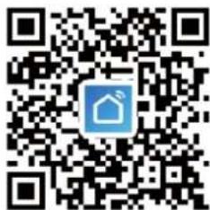 BLUEPALM BPPAC16000FW - Appinstallation - 1