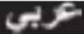 NEWA Wave 2 NWA 3200 - 保修 - 2