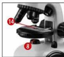 National Geographic 40X-800X - How do I observe the specimen? - 1
