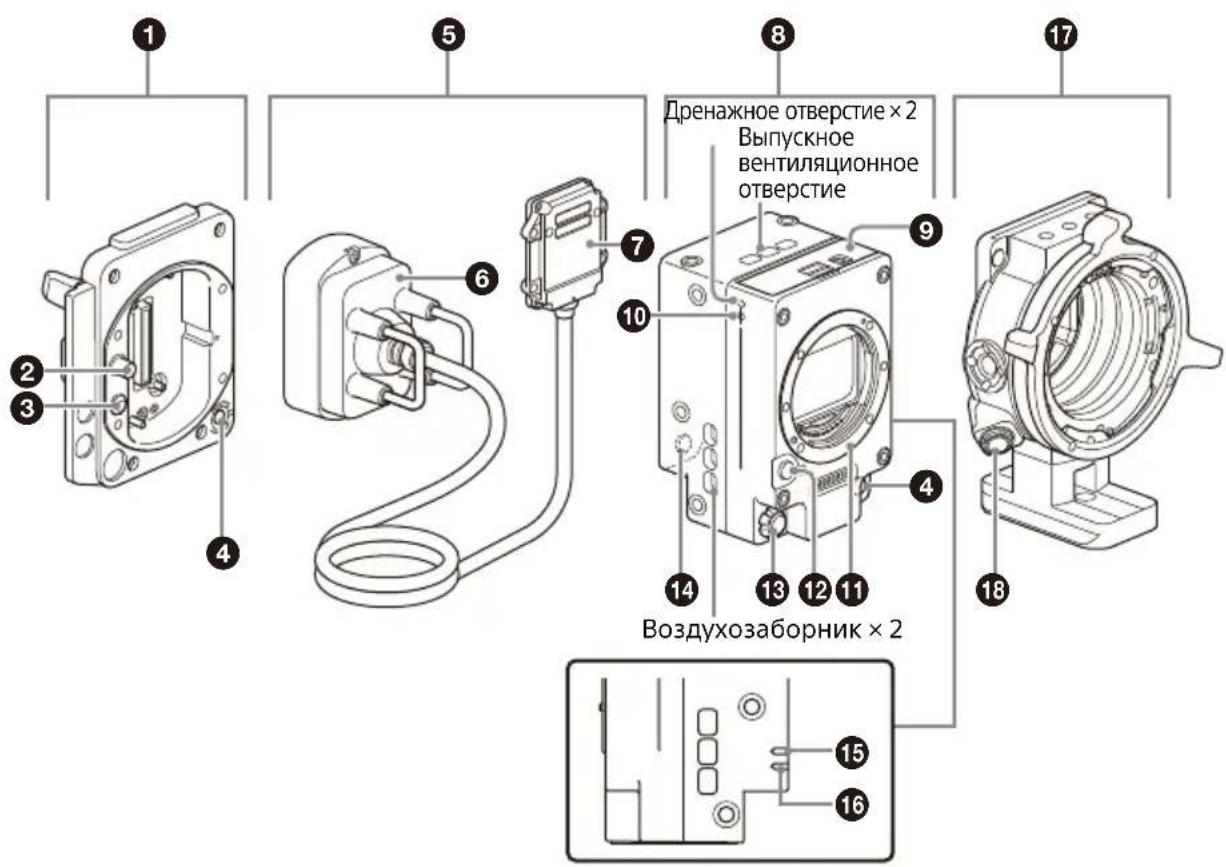 SONY CBK-3621XS - Расположение и назначение компонентов - 1