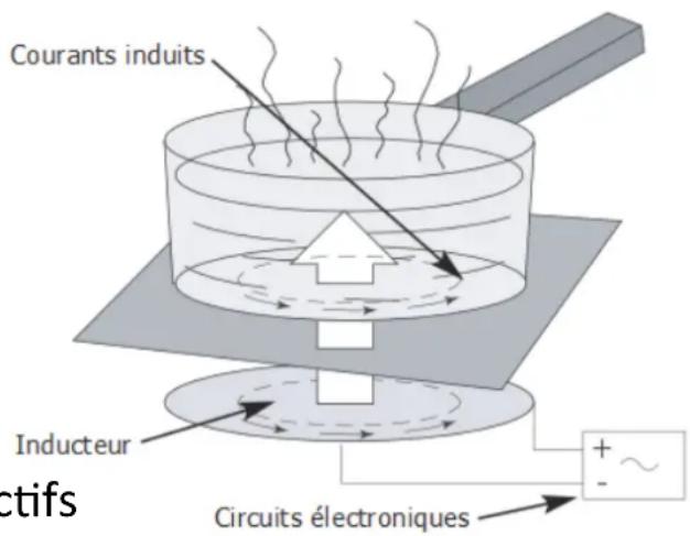 Adventys P2IM - A l'attention des porteurs de stimulateurs cardiaques et implants actifs - 1