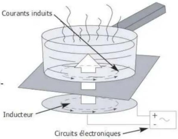 Adventys Induc-Elegance 300 - A l'attention des porteurs de stimulateurs cardiaques et implants actifs - 1