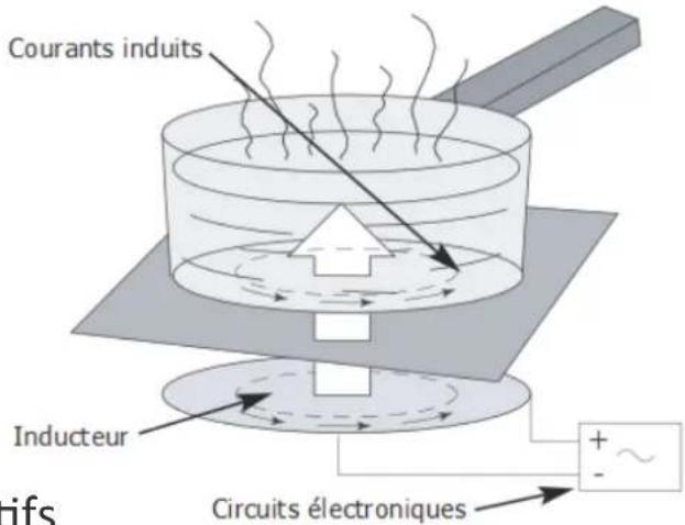 Adventys DGIC 3000 - A l'attention des porteurs de stimulateurs cardiaques et implants actifs - 1