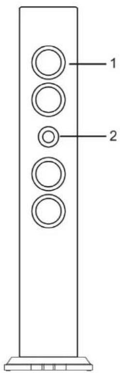 Ices IBT-6 - Paneltrasero - 1