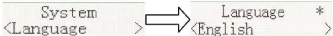 LENCO DAR-251 - Idioma - 1