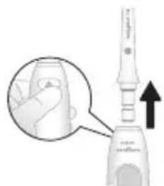 PHILIPS Sonicare Power Flosser 5000 HX3811 - After each use - 1