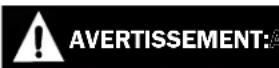 Simpson Powerwasher PW61429 - RISQUE D'INCENDIE - 2