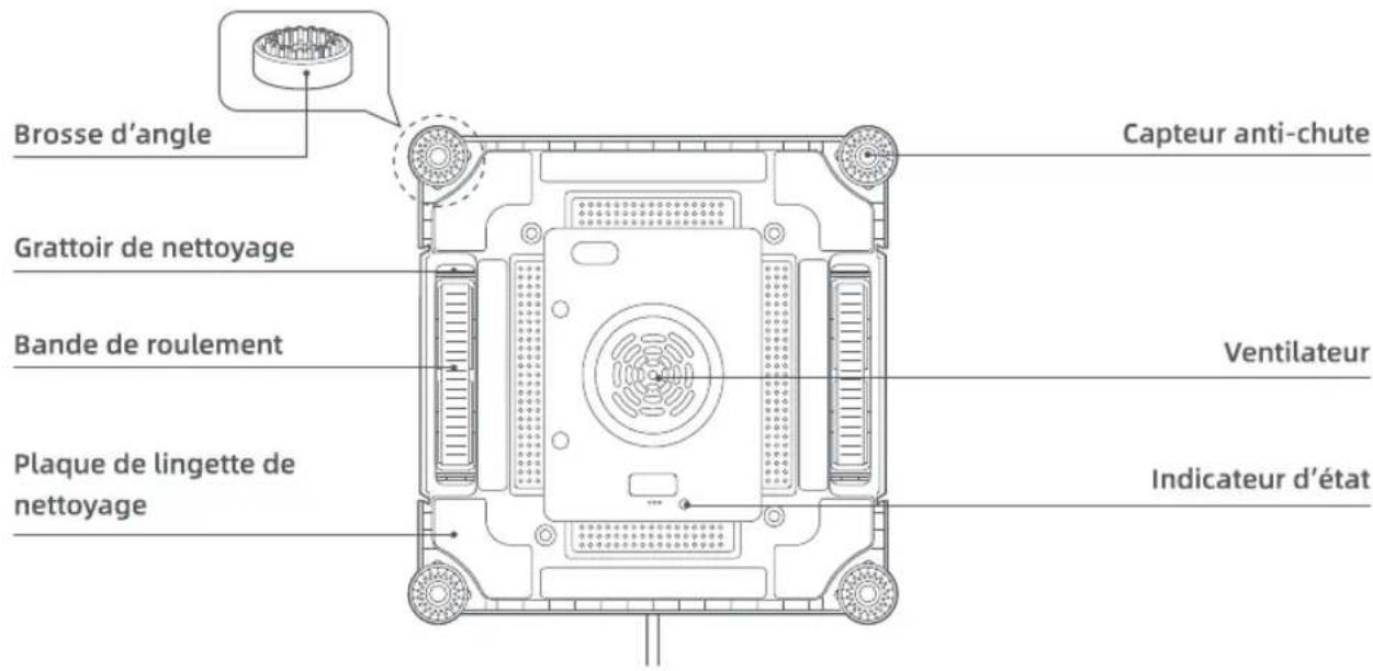 DREAME C1 Station - Robot - 2