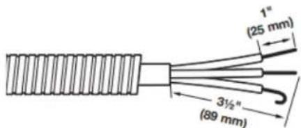 MAYTAG MED5605RU - Préparer la connexion du conducteur neutre au conducteur neutre - 5