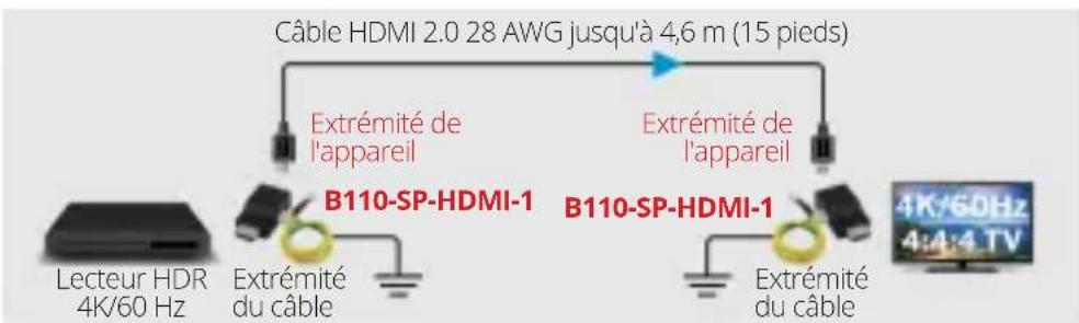 Câble HDMI 2.0 28 AWG jusqu'à 4,6 m (15 pieds) Extrémité de l'appareil B110-SP-HDMI-1 Extrémité du câble B110-SP-HDMI-1 Extrémité du câble Lecteur HDR 4K/60 Hz 4K/60Hz 4:4:4 TV