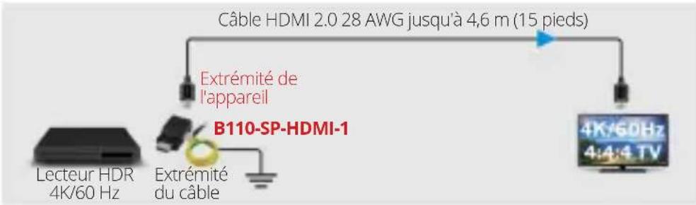Câble HDMI 2.0 28 AWG jusqu'à 4,6 m (15 pieds) Extrémité de l'appareil B110-SP-HDMI-1 Lecteur HDR 4K/60 Hz Extrémité du câble 4K/60Hz 4:4:4 TV