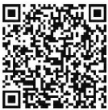 Makeid P31 - APP-Druck - 1