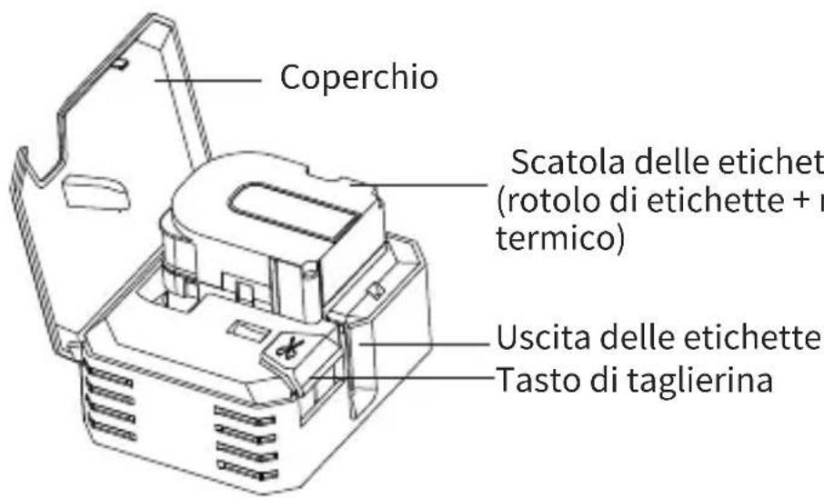 Makeid P31 - Componenti e funzioni principali - 2