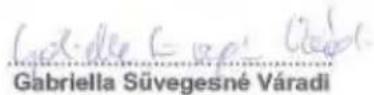 Wamsler Gamma - Fachdirektorin: - 1