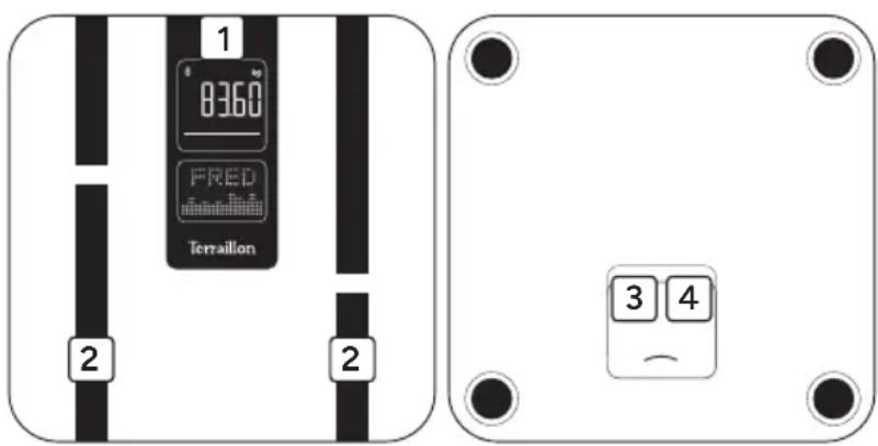 TERRAILLON Body Color Connect - VISTA GENERAL - 1