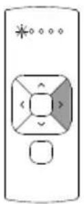 MOTION CM-12 - Single select 5 channel remote - 5