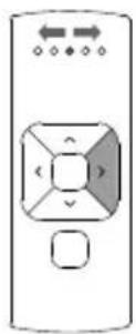 MOTION CM-12 - Single select 5 channel remote - 6
