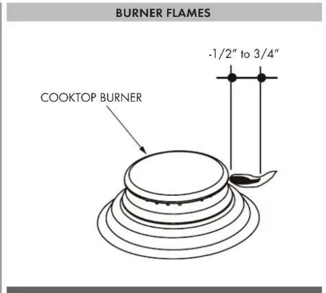 Fulgor Milano F4MTGK36S1 - The Burner Flames - 1